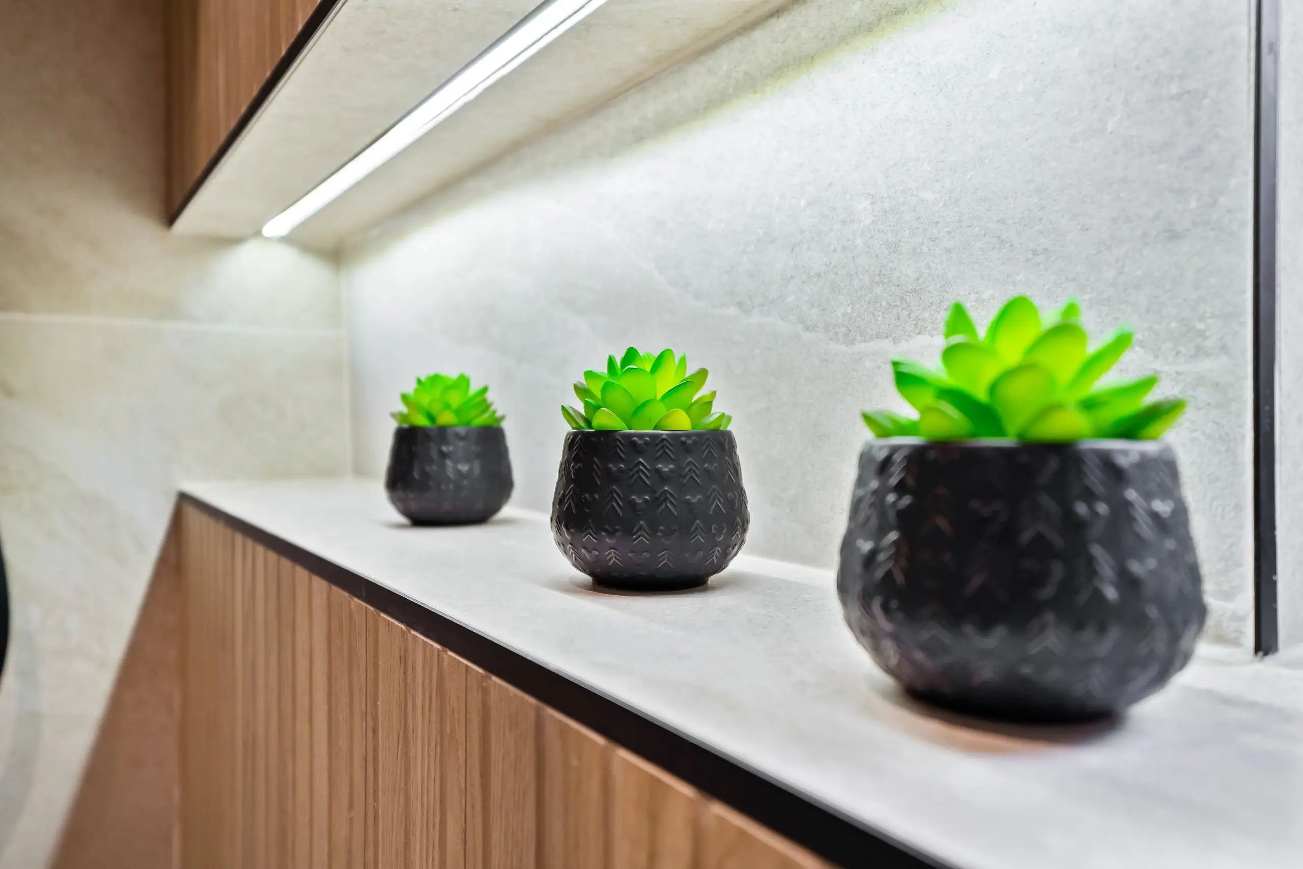 Three small succulents in black pots on a lit kitchen worktop